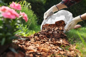 Bark Mulch Boring OR